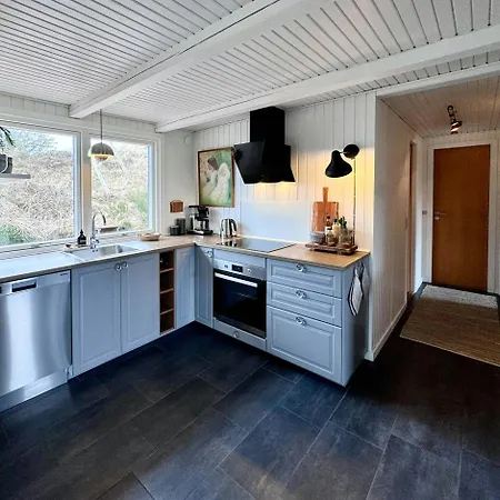 Light In The Dunes Near Denmark's Coast *