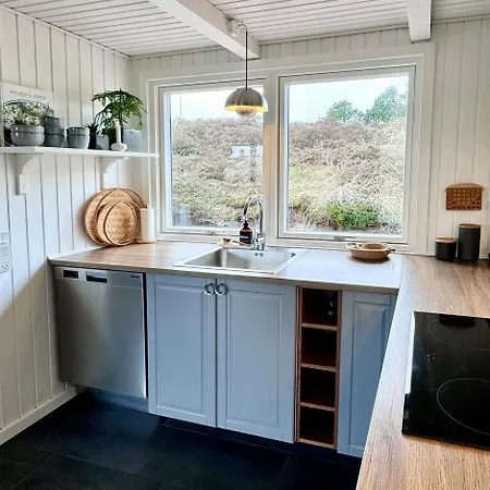 Light In The Dunes Near Denmark's Coast Oksbøl