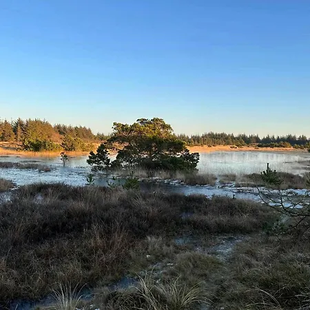Light In The Dunes Near Denmark's Coast *