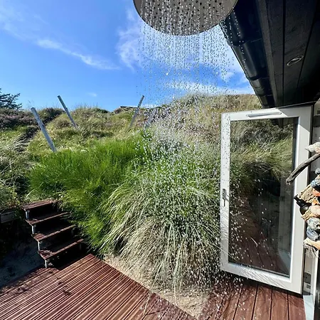 Light In The Dunes Near Denmark's Coast Oksbøl