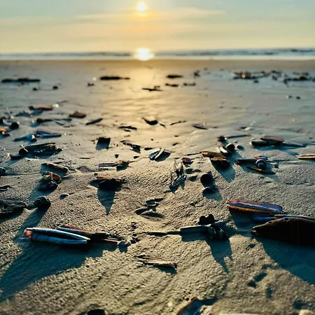 度假居 Light In The Dunes Near Denmark's Coast