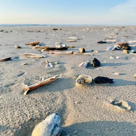 Light In The Dunes Near Denmark's Coast Casa de Férias Oksbøl