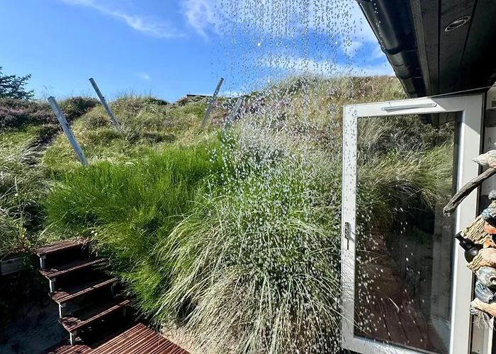 Light In The Dunes Near Denmark's Coast Oksbøl