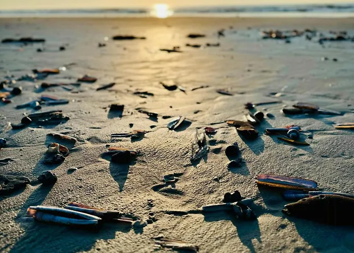 Prázdninový dům Light In The Dunes Near Denmark's Coast