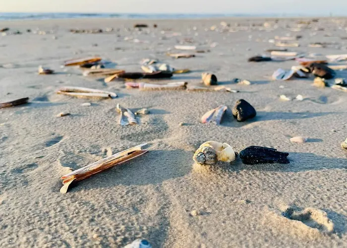 Light In The Dunes Near Denmark's Coast Prázdninový dům Oksbøl